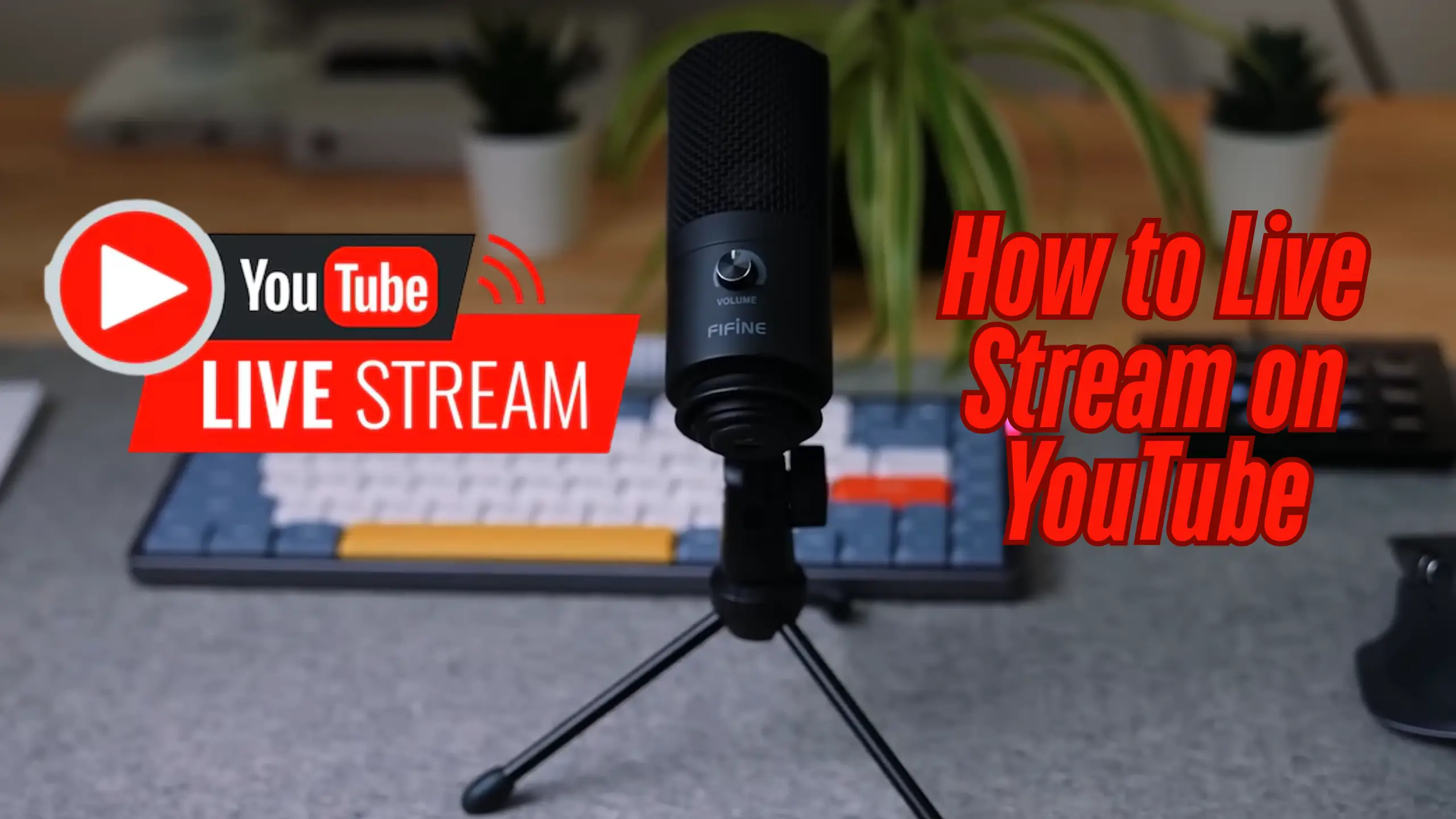 how to live stream on YouTube