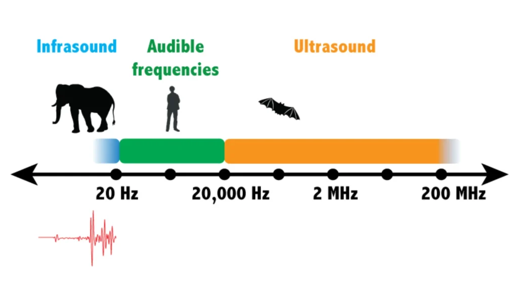 audio frequency