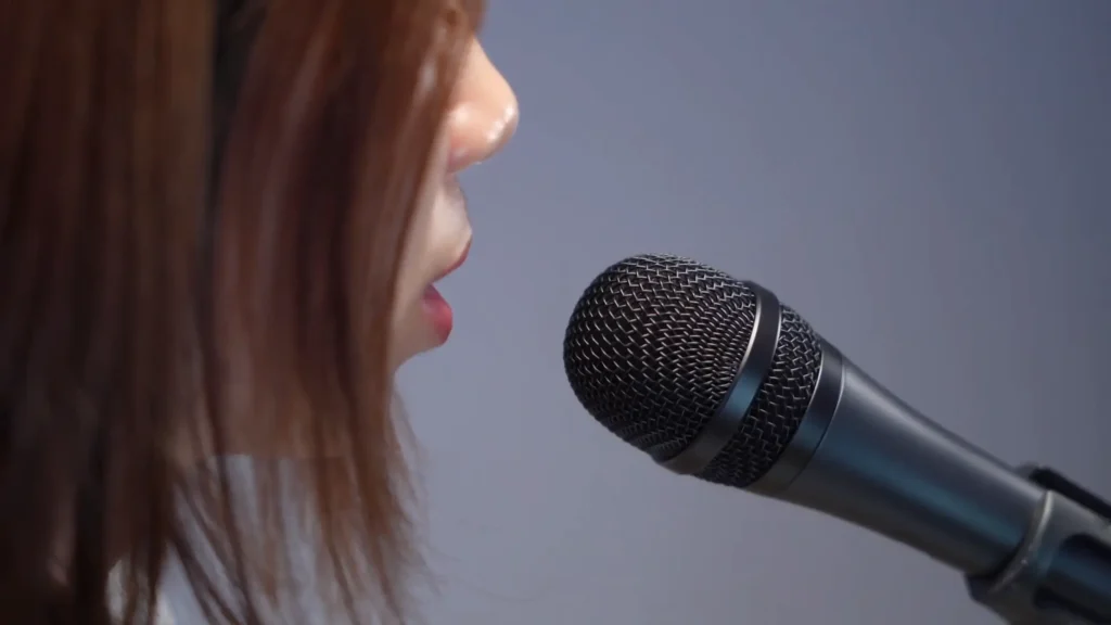 fifine K6 handheld microphone